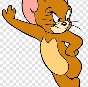 Meet your Posher, Darlene